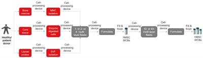 Acceleration of Translational Mesenchymal Stromal Cell Therapy Through Consistent Quality GMP Manufacturing